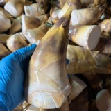 關廟（生）綠竹筍2斤（約2-3支）