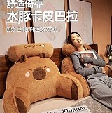 💢水豚君卡皮巴拉多用枕頭腰靠
