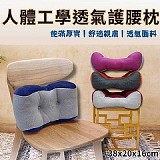 💨人體工學透氣護腰枕