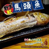 野生紅馬頭魚200-300g