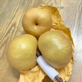 苗栗卓蘭-寶島甘露梨20A(單顆18-20兩）2顆一組