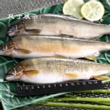爆卵香魚母 盒入6-8隻 規格:920g 效期:最新、依實際出貨日期為主