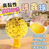 高黏性雙重引誘誘蟲球+1=2包6入