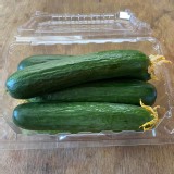 無毒喝牛奶～以色列水果小黃瓜一斤約6-9條依照重量為主/盒 （一盒）