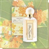 👉 日本MASSE MOLLY Bloom 桂花香氛 50ml