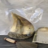 台南關廟頂級帶殼綠竹筍2支裝600-650g左右