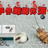 👉純手作蟑螂炸彈6入/包