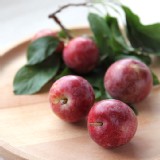 梨山西瓜李一斤