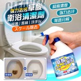 強力去污草酸衛浴瓷磚馬桶清潔劑500ml 二罐