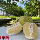 正麻豆（B級花皮）文旦柚 原袋5斤／半袋 與團友對分（半袋不過秤） 塑膠袋裝