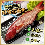 野生三去🐟紅條石斑魚300g~400g/二包