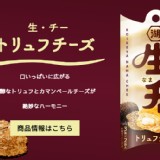 日本7-11限定⭐湖池屋 Melty Cheese 松露風味生起司千層派 27g