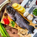 大尾～三去龍虎石斑(葷) 600-700g/一隻