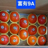 梨山日本品種-A9紅柿2顆一組（單顆7-8兩/263-300g) 特價：$180