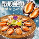 帶殼鮑魚22-24P ＜1000g＞一包 特價：$275