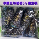 卓蘭巨峰葡萄 (單串套袋) 1斤135元 現場秤重+10元雜費
