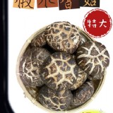 迪化街老字號 特大椴木香菇225G