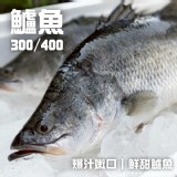鹹水金目鱸魚(三去) 整尾 300-400g真空包裝一包