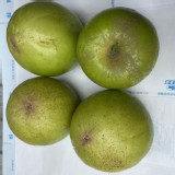 惜福果 2斤 ※完美主義者請勿下單喔！！