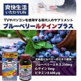 井藤 藍莓葉黃素Plus (132粒)