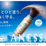 日本 ANESSA 防曬刷 3g SPF50+ PA++++