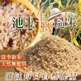池上生機糙米🌾600g