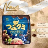 奢華巧克力包覆綜合水果雷根糖 50g