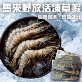馬來野放活凍草蝦12p(葷) 450g一盒