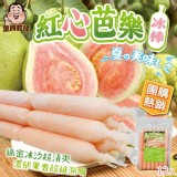 一包 / 紅心芭樂冰棒12支/包