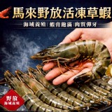 一盒/馬來野放活凍草蝦12-16P(葷)450g/實重220g