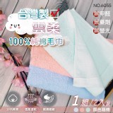 台灣製雲柔100%純棉毛巾2條入/組