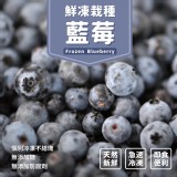 美國-鮮凍栽種藍莓 400g/包