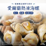 愛爾蘭野生熟凍海螺1000g/約50~80入/包