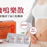 大正表飛鳴樂散(120入)