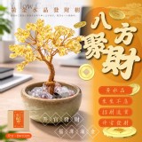 黃金水晶發財樹