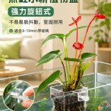 魚缸水草杯