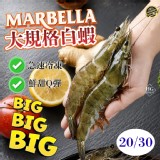 🦐MARBELLA🦐✨超大規格白蝦800g大盒裝 (20/30)