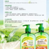 日本RLL 植萃清新洗碗精｜柑橘清香500ML