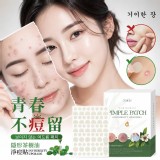 韓國奇麗庄 隱形茶樹油淨痘貼（144貼）
