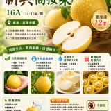 苗栗卓蘭-新興高接梨16A（14-15兩/顆）