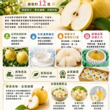 苗栗卓蘭-新興高接梨18A（16-17兩/顆）兩顆一組 特價：$250