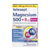 德國 Tetesept 鎂500 + 維生素B12 強效緩釋錠 (30錠入)
