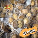 巨無霸超大鮑魚清肉 （300g/包/10顆）包冰20%