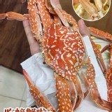 佐渡花蟹/藍蟹(2隻/300g/包)