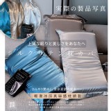 香檳金 2入 / 輕奢冰涼真絲感枕頭套