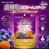 日本ITOH井藤漢方 高吸收脂質體藍莓葉 黃素 30日份