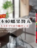 日本🇯🇵Earth蟑螂果醬丸16入