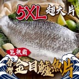 巨無霸🇹🇼台灣金目鱸魚片5X超超超大 400-500g/片真空包裝