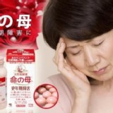 命の母 命之母更年期調節 840錠/瓶