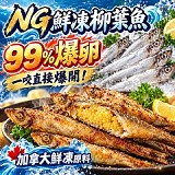 🐟NG鮮凍柳葉魚💥99%爆卵 300g （30%保護冰）